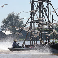 Myanmar