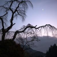 Japon